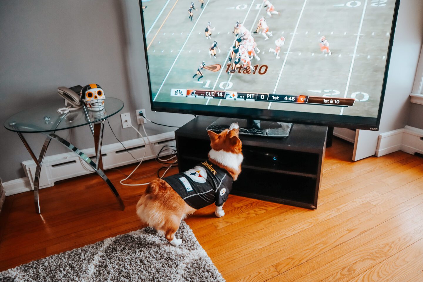 Puppy Bowl
