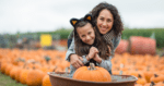 19 Fall Outdoor Activities for Toddlers That Won’t Cost You More Than $20