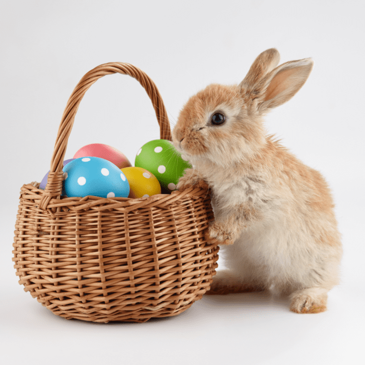 baby easter basket