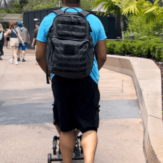 The Best Disney World Parks for Toddlers for 2024